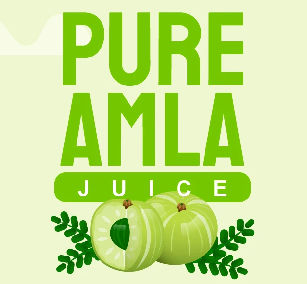 The Pure Amla logo: “PURE AMLA” stacked in bright green condensed capitals above a green “JUICE” bar, with two amla fruits and leaves, on pale green.